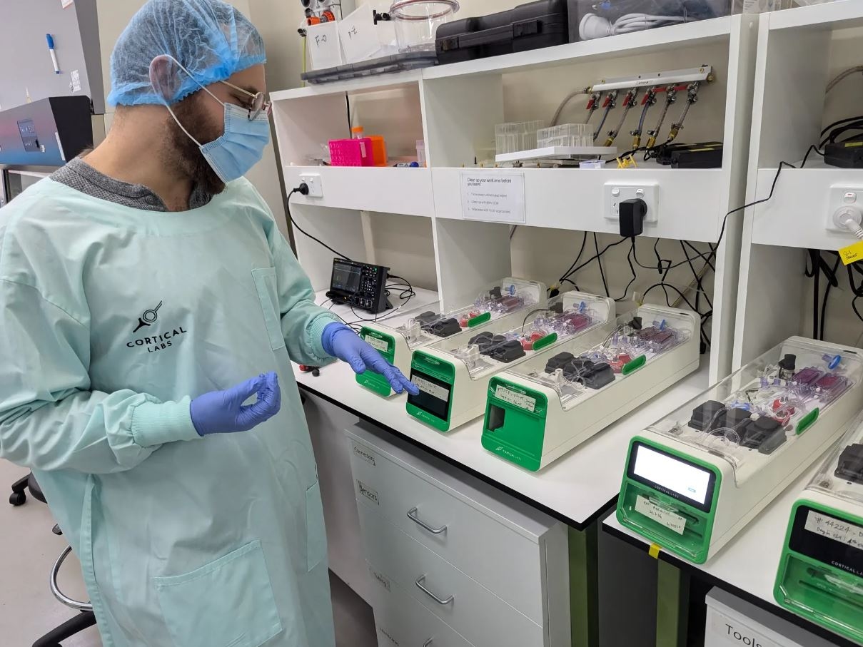 Cortical Labs запустил маленький ЦОД на человеческих нейронах