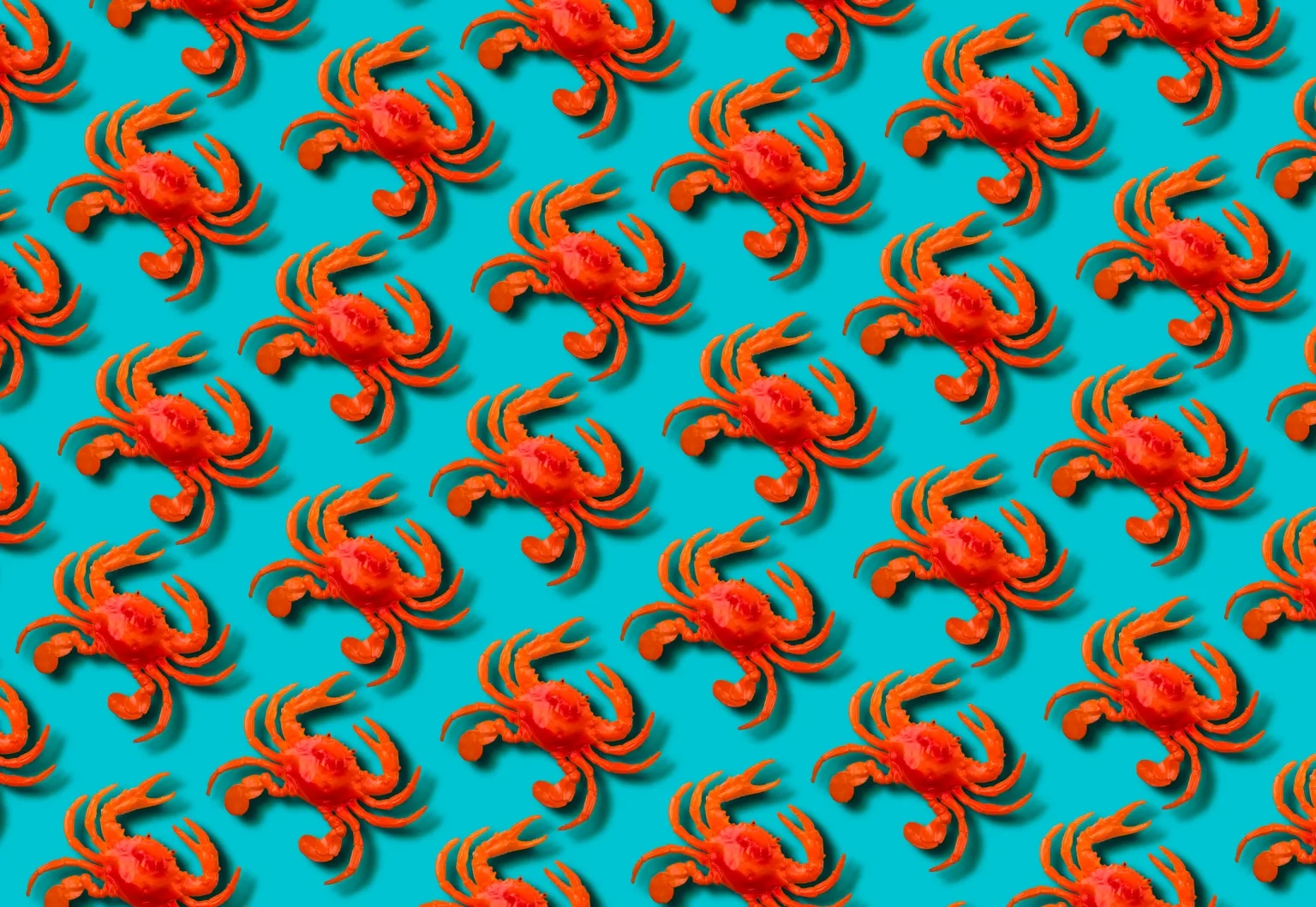 Meta* приобрела соцсеть Moltbook для AI-агентов