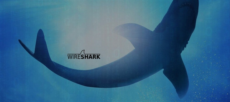 Представлено апдейт Wireshark 4.6.7