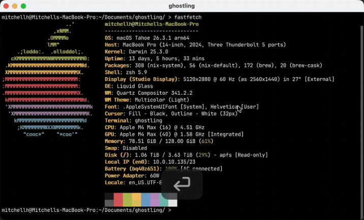 Представлен публике публичный демо-проект Ghostling — минималистичный терминал на основе libghostty