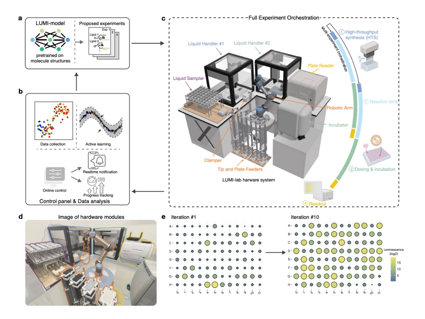 ИИ-лаборатория LUMI открыла усилитель мРНК-терапии — без человеческих гипотез и подсказок