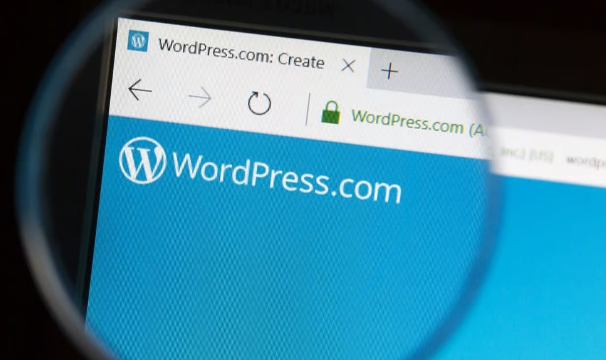 Неизвестные купили 30 плагинов для WordPress и внедрили в каждый из них бэкдор