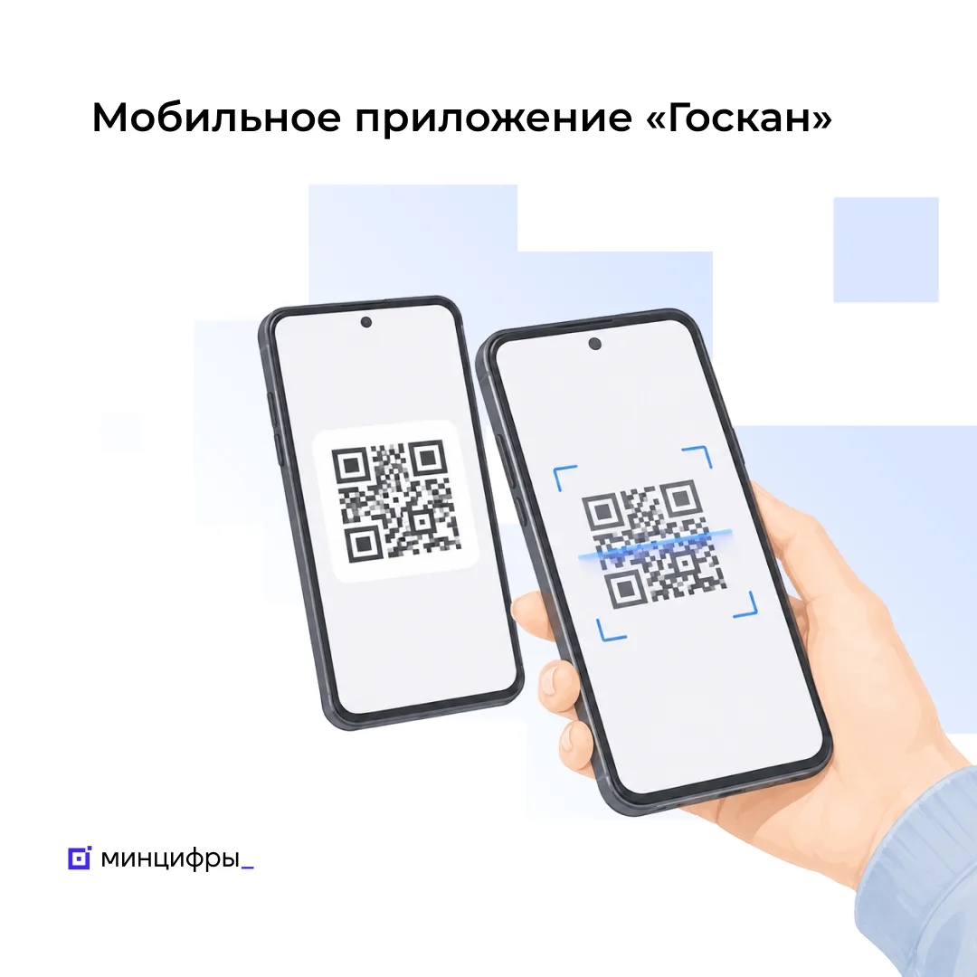 Минцифры представило программа «Госкан» для быстрой проверки данных по QR-коду