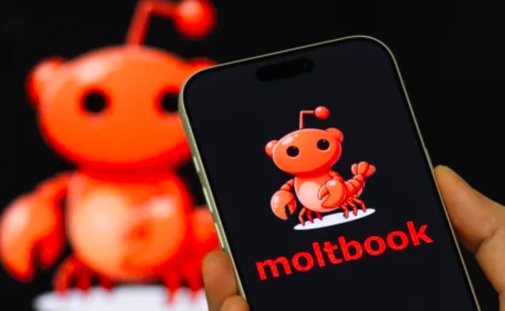 Люди несут полную ответственность за действия своих ИИ-агентов: Moltbook обновила правила пользования