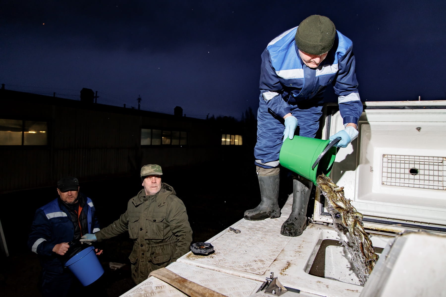 «Ростелеком» со специалистами Невского рыбзавода провёл экологическую акцию по зарыблению реки Невы