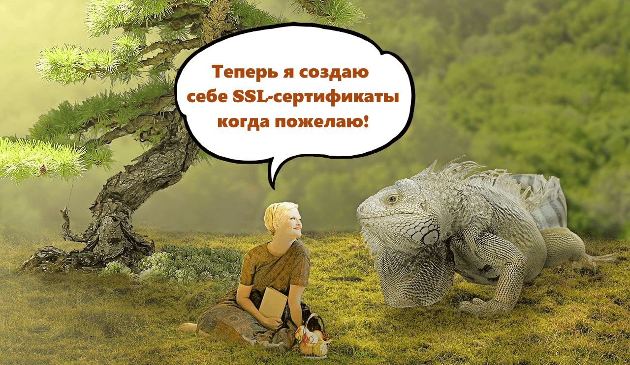 Нужен бесплатный SSL-сертификат? Легко