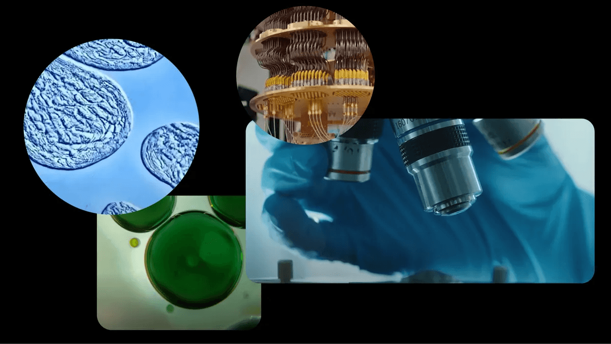 Google рассказала, как использует ИИ для научных исследований — от медицины до квантовых вычислений